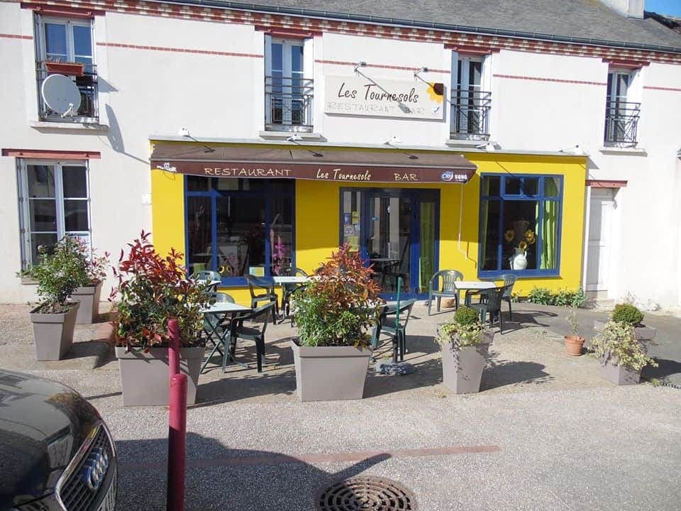 Les tournesols — photo 2