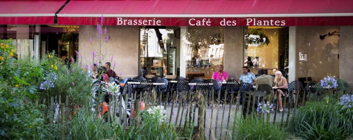 Café des plantes — photo 2