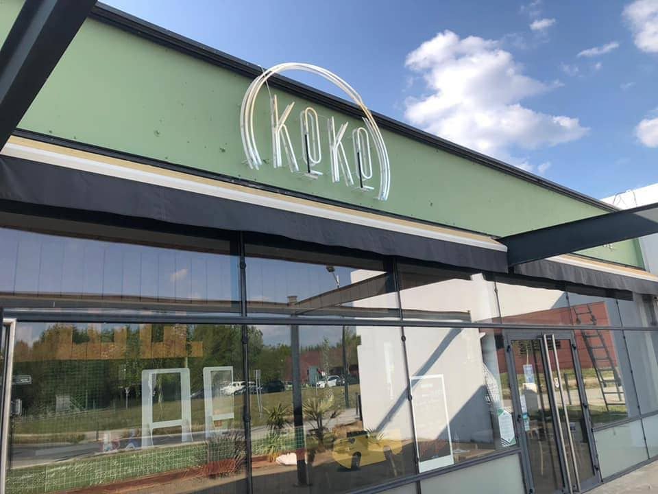 Koko — photo 3