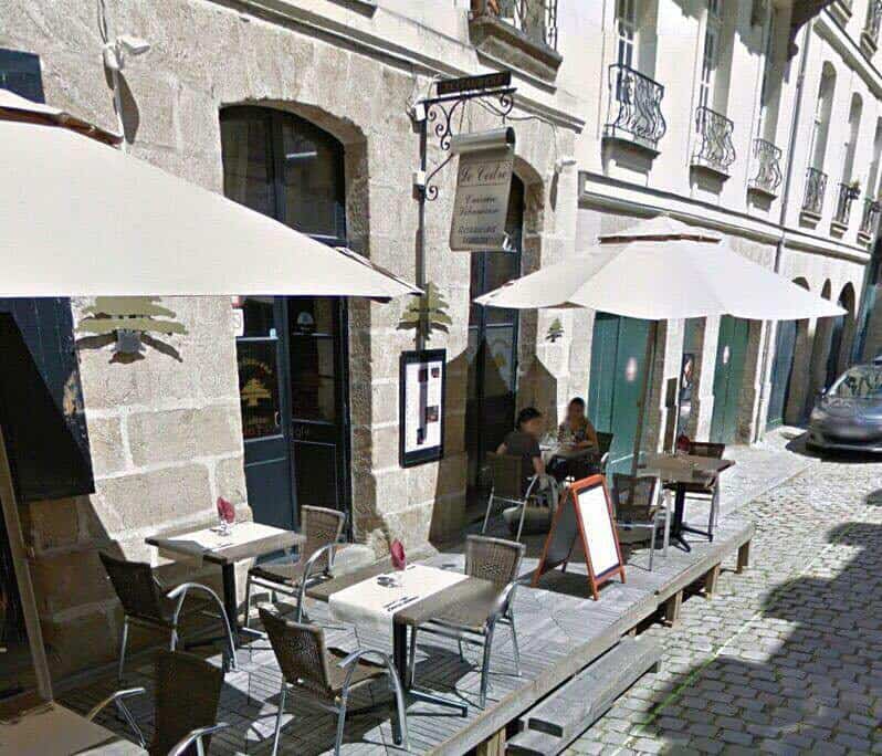 Le Cèdre — photo 2