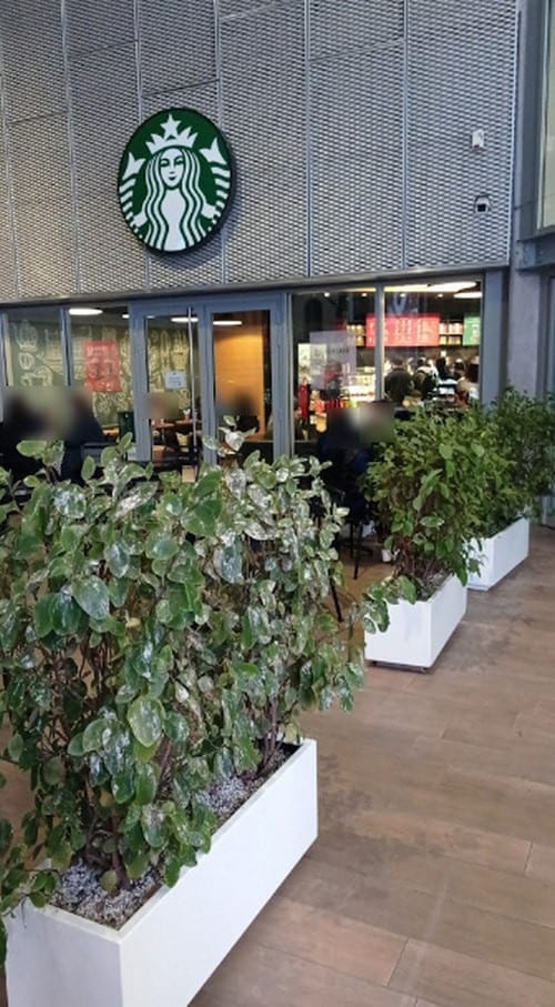 Starbucks Coffee — photo 2