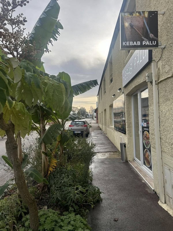 Kebab palu — photo 2