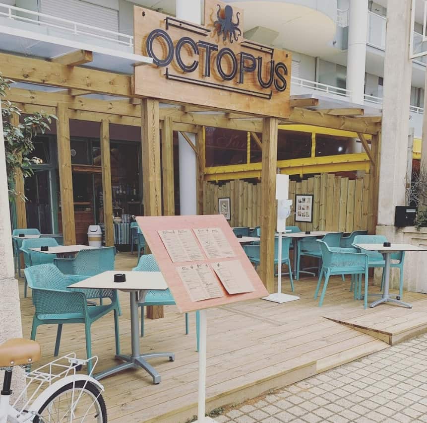 Octopus — photo 3