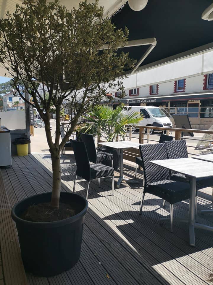 La Cantine de Monsieur Jo — photo 2