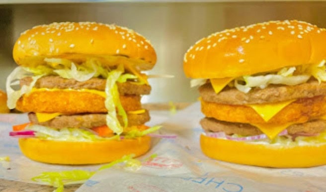 Chicken Flavor — photo 2