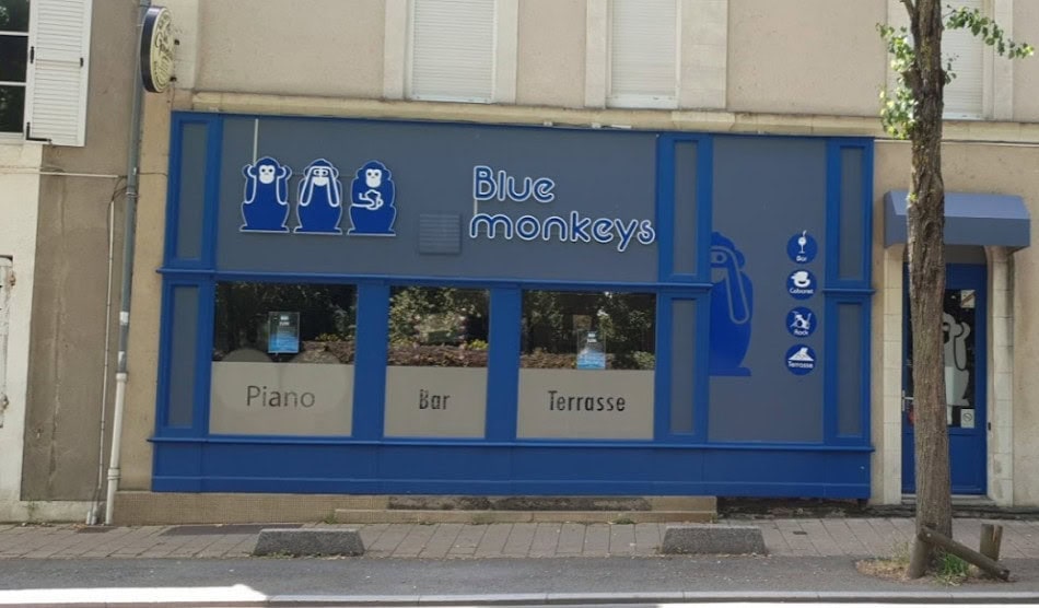 Le Blue Monkeys — photo 2