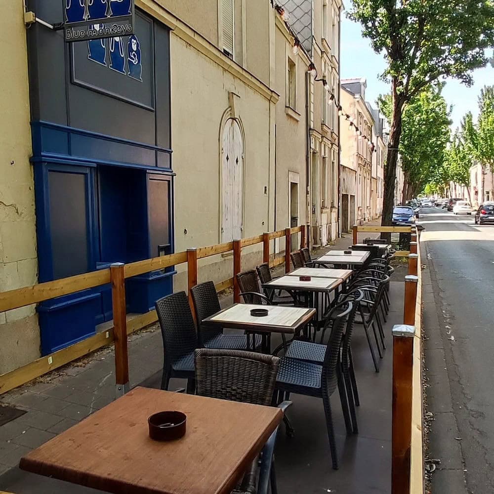 Le Blue Monkeys — photo 3