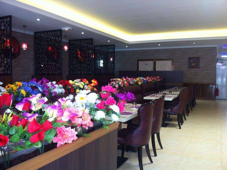 Royal Panda — photo 2