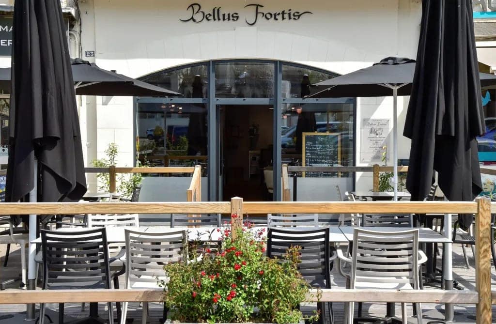 Bellus Fortis — photo 2
