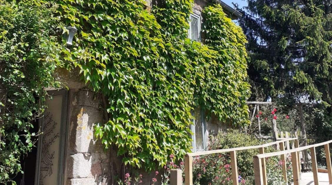 En Pleine Nature — photo 2