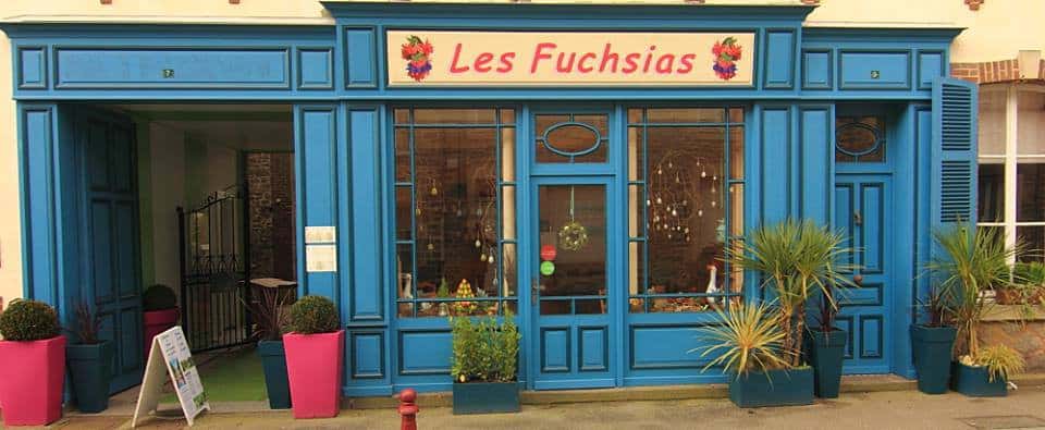 Les fuchsias — photo 2
