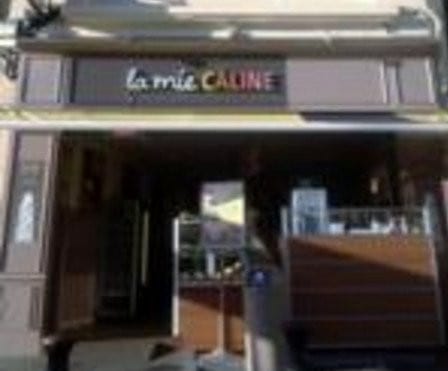 La mie câline — photo 2