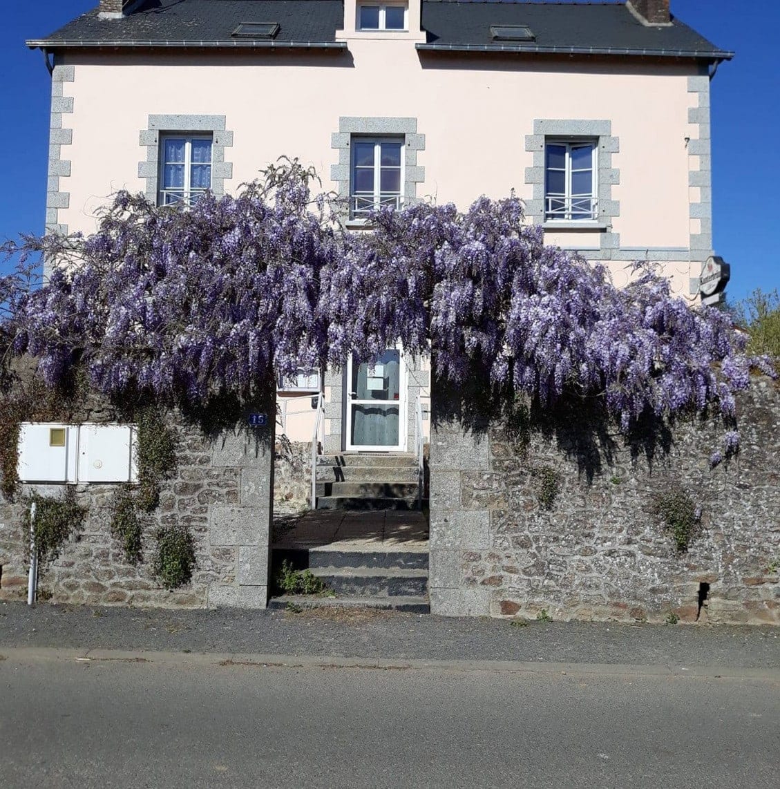 La Centaurée — photo 2