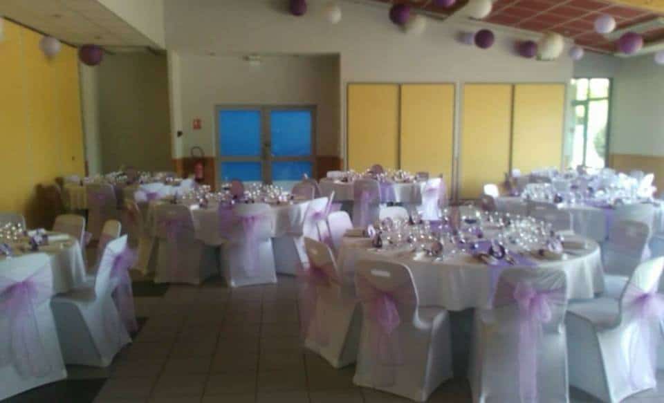 Delice 2 rose — photo 2