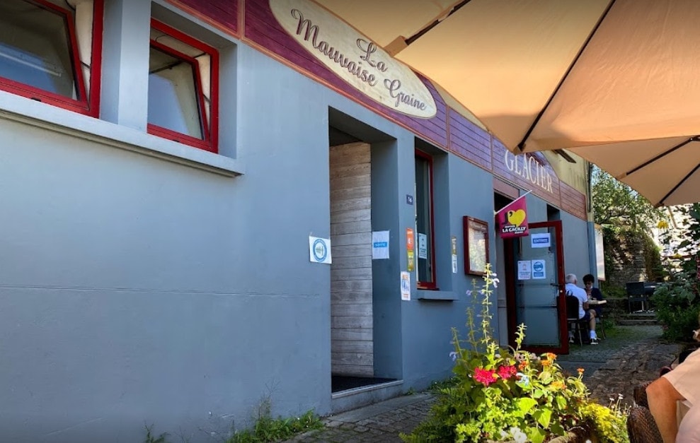 La Mauvaise Graine — photo 2