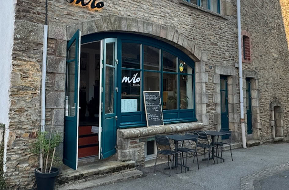 Milo — photo 3
