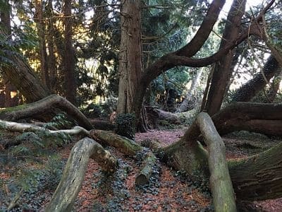 Domaine de la Ferrière — photo 10