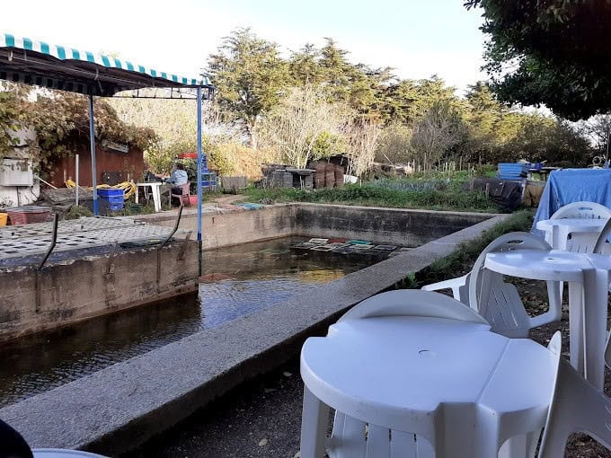 Les Parcs Du Passage — photo 3