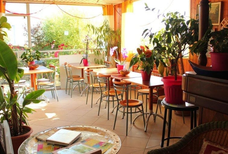 L'Oasis Bretonne — photo 3