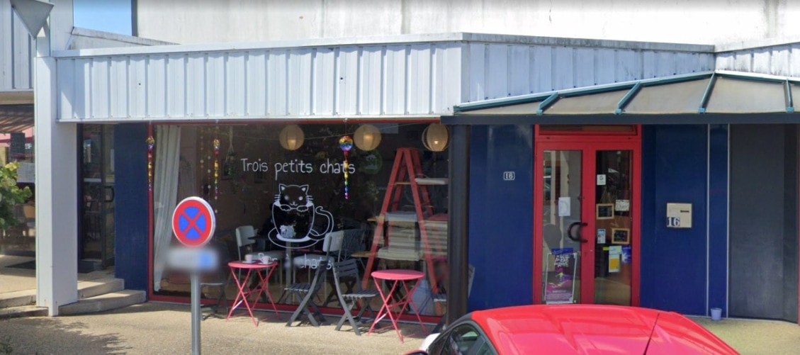 Trois petits chats — photo 3