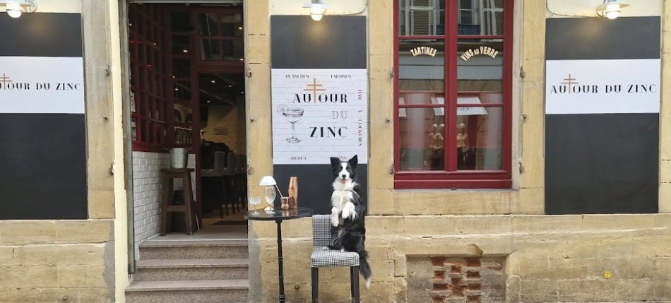 Autour du Zinc — photo 3