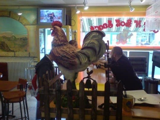 Coq N'Roll — photo 3