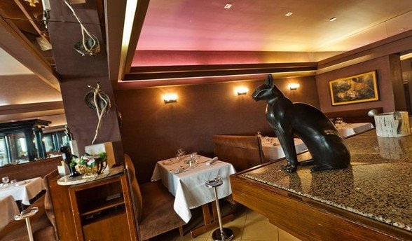 Le Chat Noir A Metz Menu Et Photos