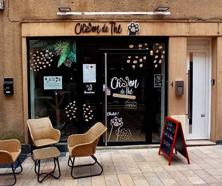 Chalon de Thé — photo 2