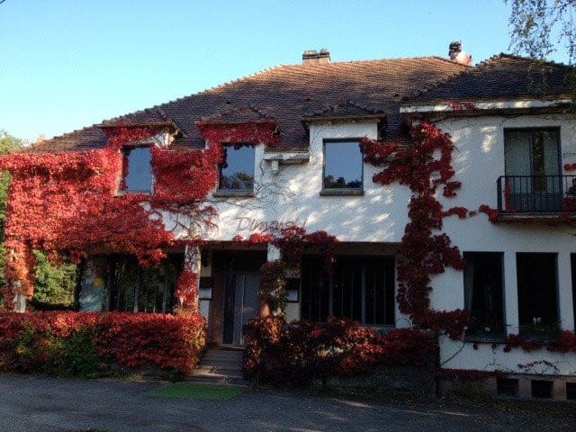 Restaurant Dimofski — photo 2