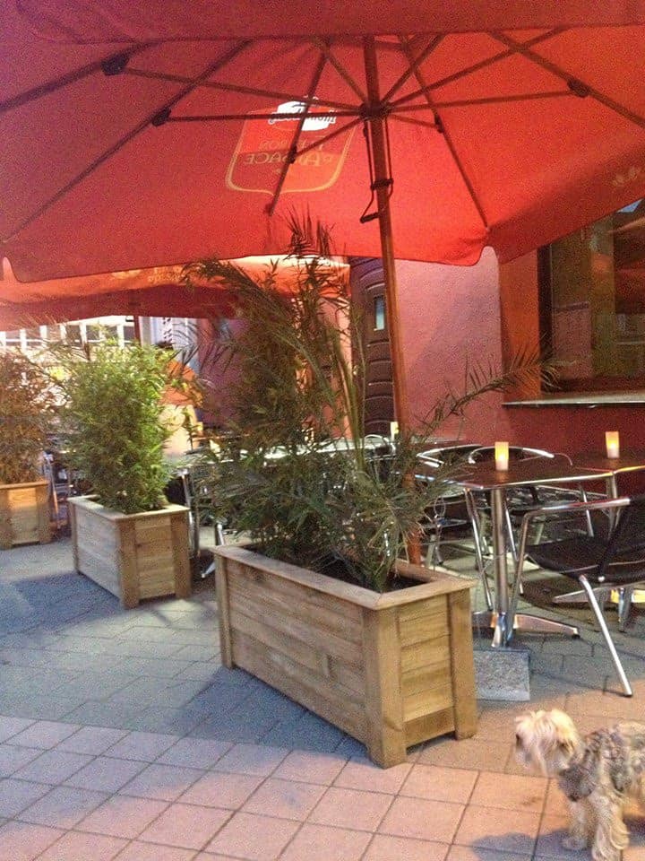 Co'taco'te — photo 2