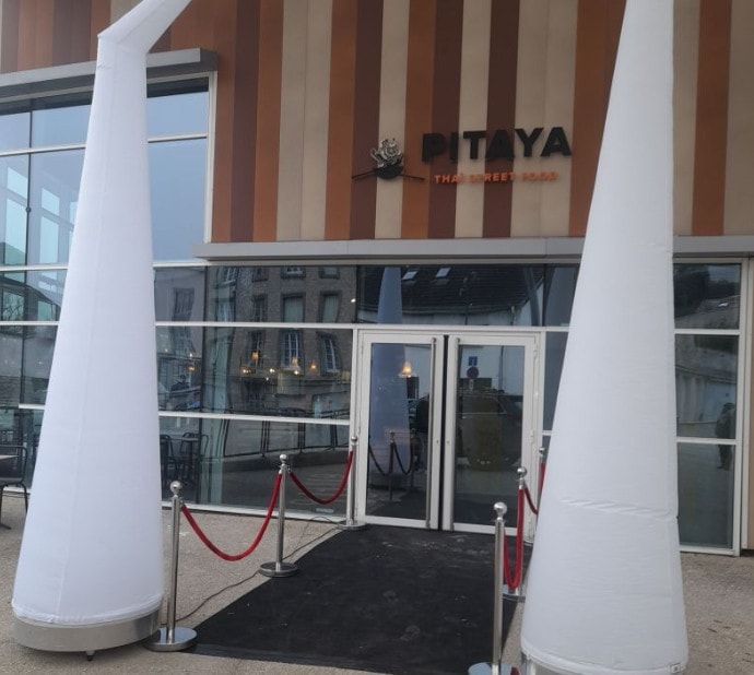 Pitaya — photo 3