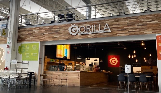 Gorilla — photo 2