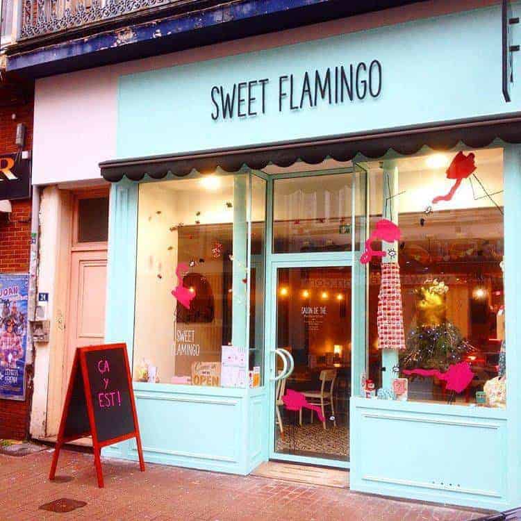 Sweet Flamingo — photo 2