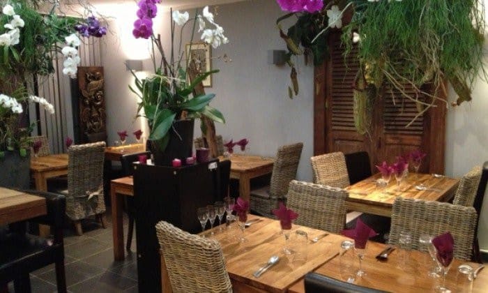 Tiparo Thai — photo 3