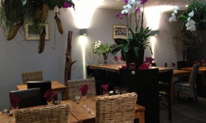Tiparo Thai — photo 2
