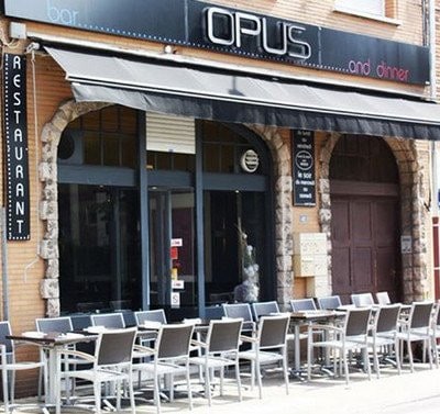 Opus — photo 2