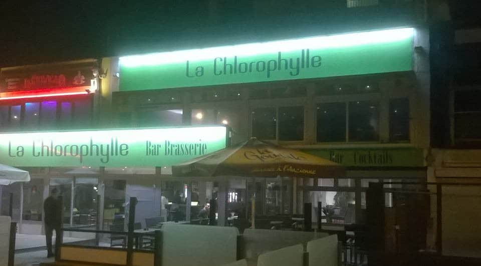 Chlorophylle — photo 2