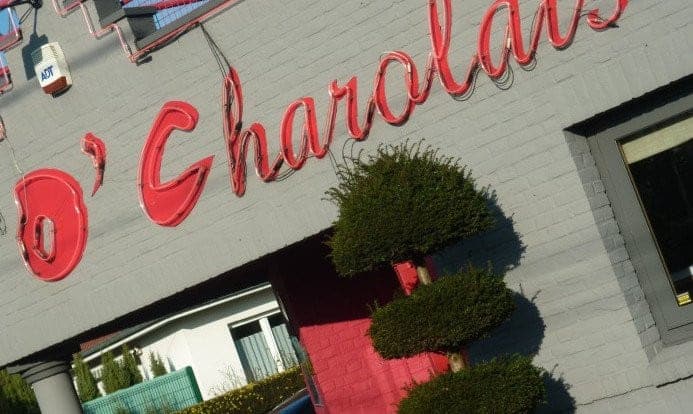 O'Charolais — photo 2