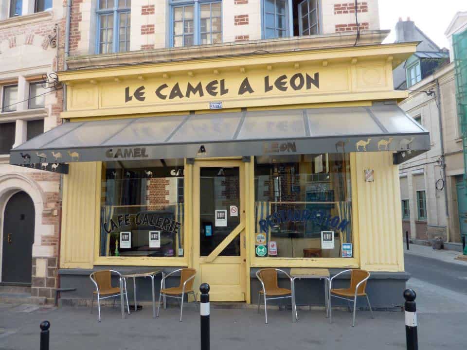 Camel à Léon — photo 2