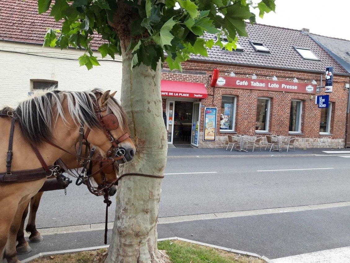 Café de la Place — photo 2
