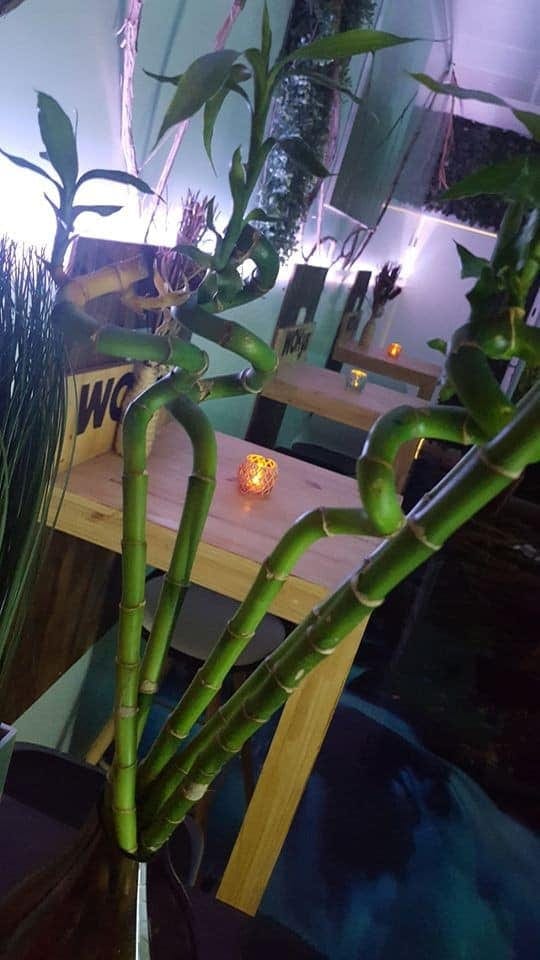 Wokys — photo 3