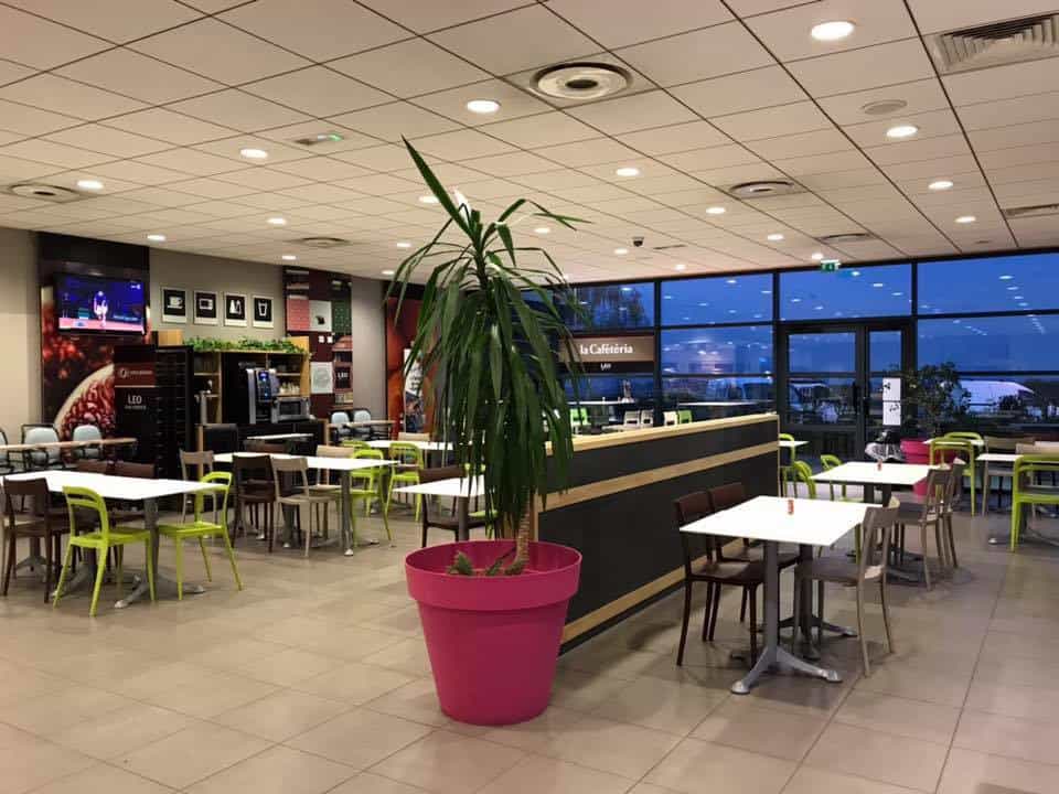 Leo Resto — photo 3