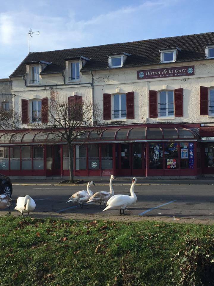 Bistrot de la gare — photo 2