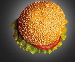 Leclipse burger — photo 2