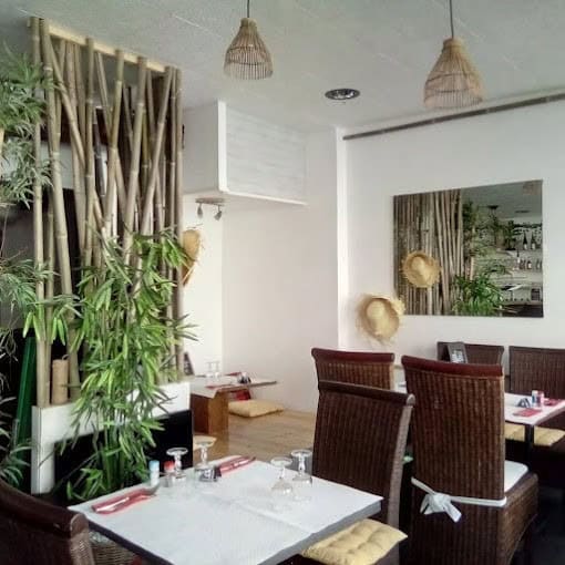 Bambou — photo 2