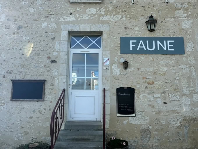 Faune — photo 3