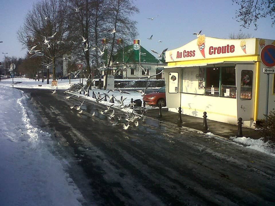 Au casse croute — photo 2