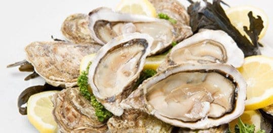 Brasserie l'Océan — Poissons et fruits de mer à Nesles — photo 3