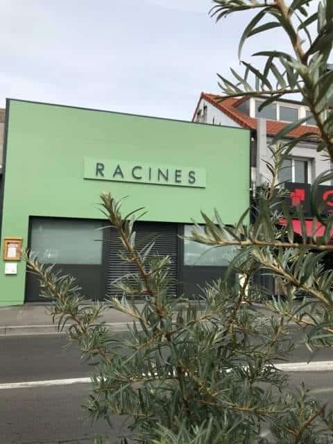 Racines — photo 2