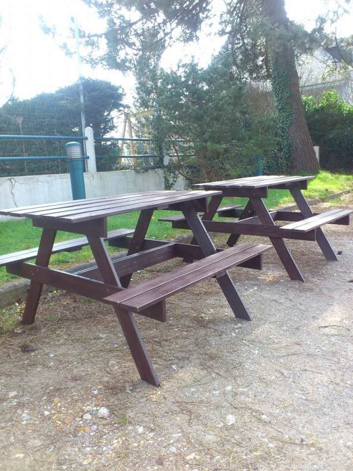 Pomme de pin — photo 3